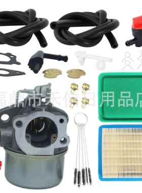 214706 215369 792970 798654 811056化油器Intek 190 850发动机