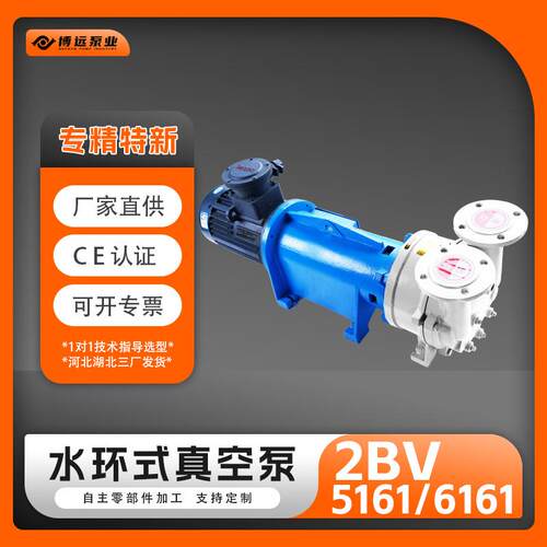 供应2BV5161/6161水环真空泵铸铁不锈钢工业抽真空设备液环泵