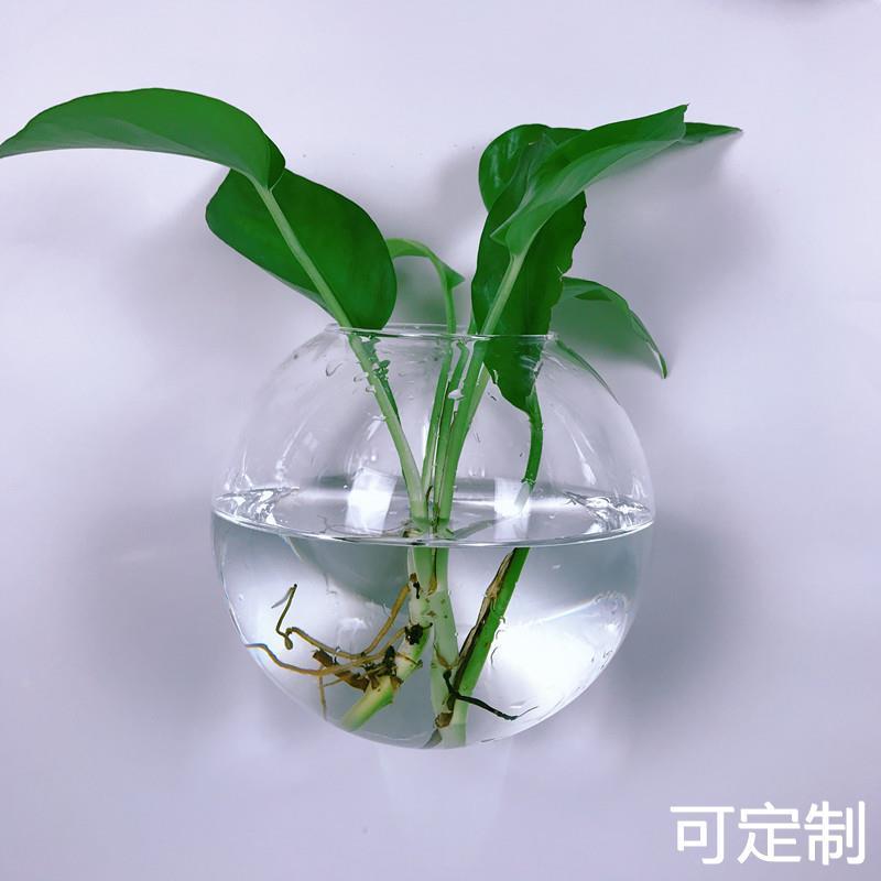 壁挂水培花瓶玻璃瓶器皿挂墙植物水养创意墙上悬挂式球形绿植花盆