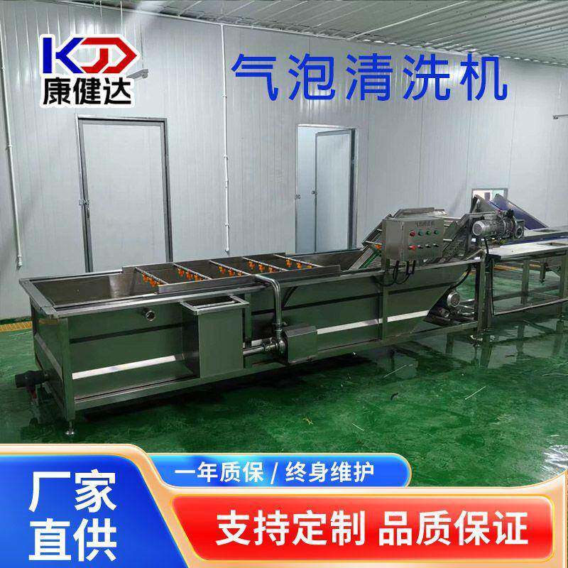 紫苏油麦菜果蔬气泡清洗机荠菜加工设备菠菜油菜气泡清洗机
