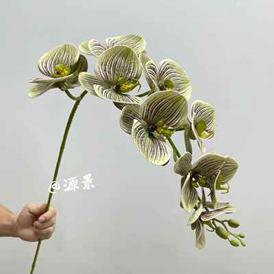 白色蝴蝶兰仿真花高品质单支兰花假花塑料花艺餐桌摆件插花永生花