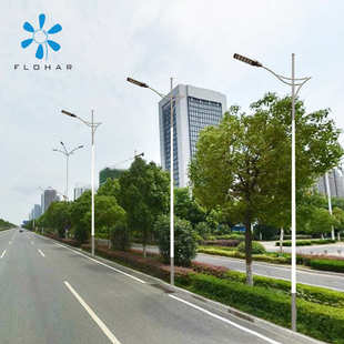 厂家批发LED路灯一体化新农村太阳能高杆路灯头热镀锌喷塑路灯杆