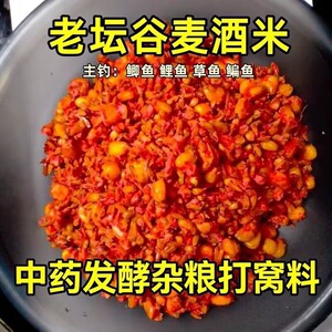 麦酒野钓鲫鱼颗粒草窝鲤鱼台钓饵