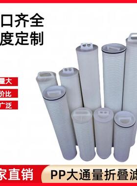 厂家直销20/40/60寸大流量折叠滤芯保安过滤器水处理大通量过滤芯