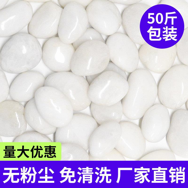纯白色鹅卵石雨花石造景庭院铺地天然原石白石子石头阳台院子园林
