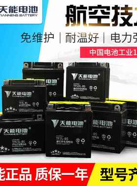 12N9-4B-1摩托车正三轮车150 175电瓶免维护干电池12V9AH 男式125