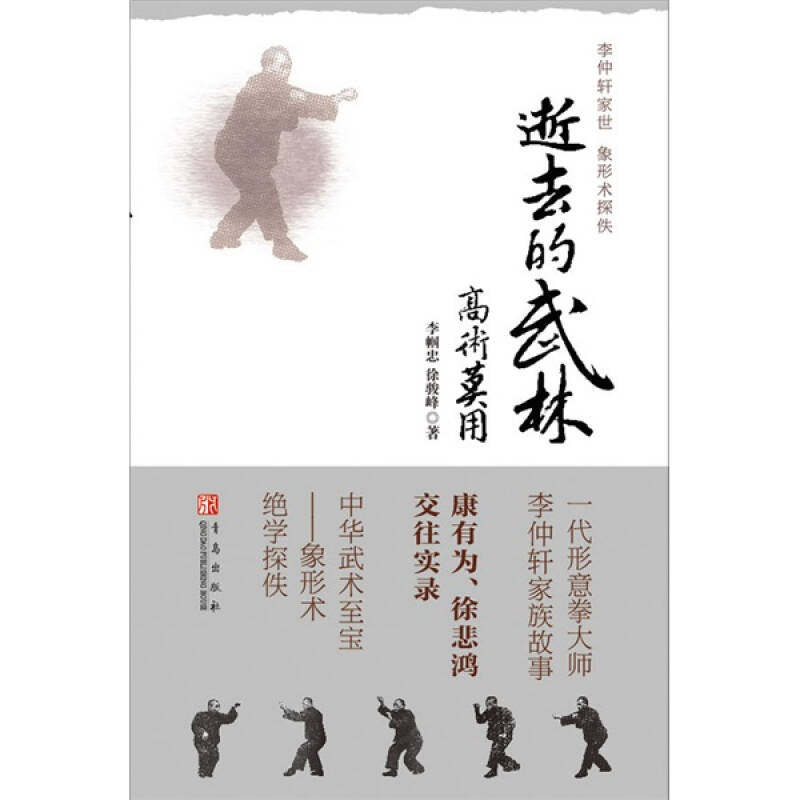 正版逝去的武林·高术莫用李帼忠,徐骏峰  著9787543657793