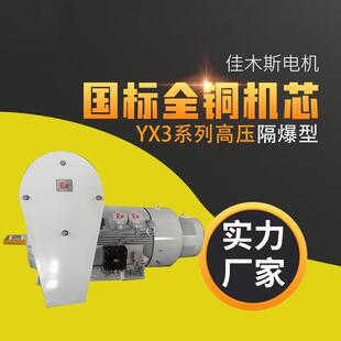 160 185kw 132 佳木斯电机马达YX3高压电动机隔爆型三相异步110