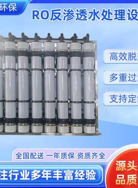 RO反渗透水处理设备工业水处理装置去离子原纯净水器软水设备定制