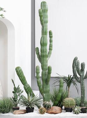 仿真仙人球仙人柱大型植物盆栽室内绿植橱窗装饰造景量天尺仙人掌
