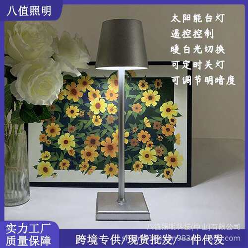 现货简约北欧LED小夜灯充电创意装饰氛围户外防水太阳能台灯