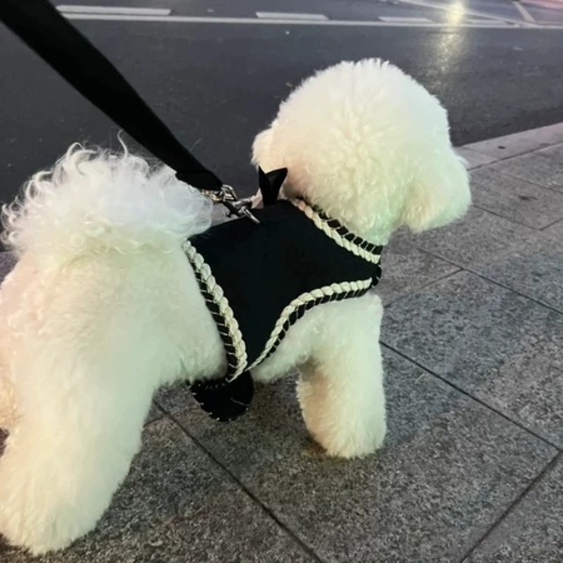 比熊狗狗衣服带牵引绳背心式小型犬宠物胸背带狗绳遛狗网红猫绳子