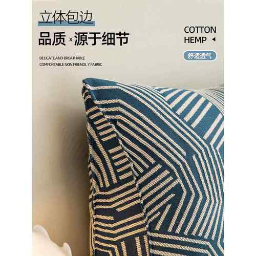 22头6新款床靠垫床头靠垫软床上0榻榻米无包床头三角护腰靠枕大靠