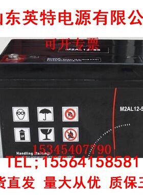 法国M2AL12-55 MGE12V55AH蓄电池机房设备UPS专用