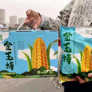 麦秀年金玉棒早安大苞米新货真空新鲜苞谷东北香甜糯玉米棒子飞和
