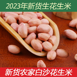 2023年新货花生米生新鲜花生特级榨油大颗粒，粉红皮大粒花生仁种