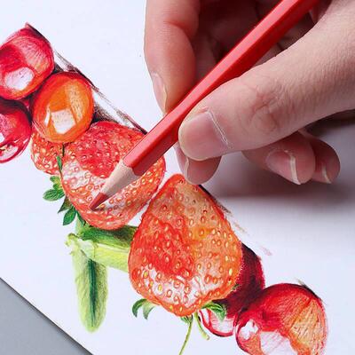 colour pencil painting students use 48 colour pencils with a