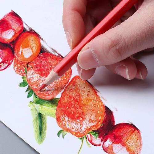 colour pencil painting students use 48 colour pencils with a