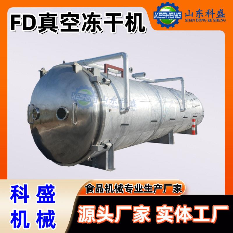 FD真空冻干机 农产品冻干机设备 山大蒜真空冷冻干燥机厂家