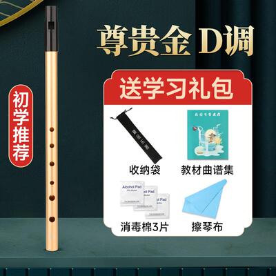 高档爱尔人兰哨笛C调D调初学笛子儿童成笛专业奏金属直笛六孔演直