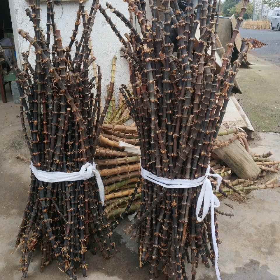 潜东竹木紫竹鞭紫竹手串料