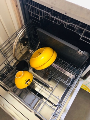 美国HUMANTOUCH慧曼洗碗机怎么样?诉说大家不要踩雷了