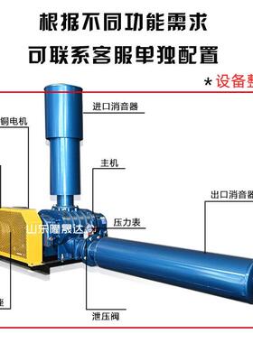 不锈钢罗茨风机鼓风机厂家 污水处理22kw曝气风机 三叶罗次风机