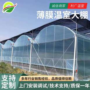 温室移动苗床温室育苗设备移动式温室大棚蔬菜种植钢架大棚