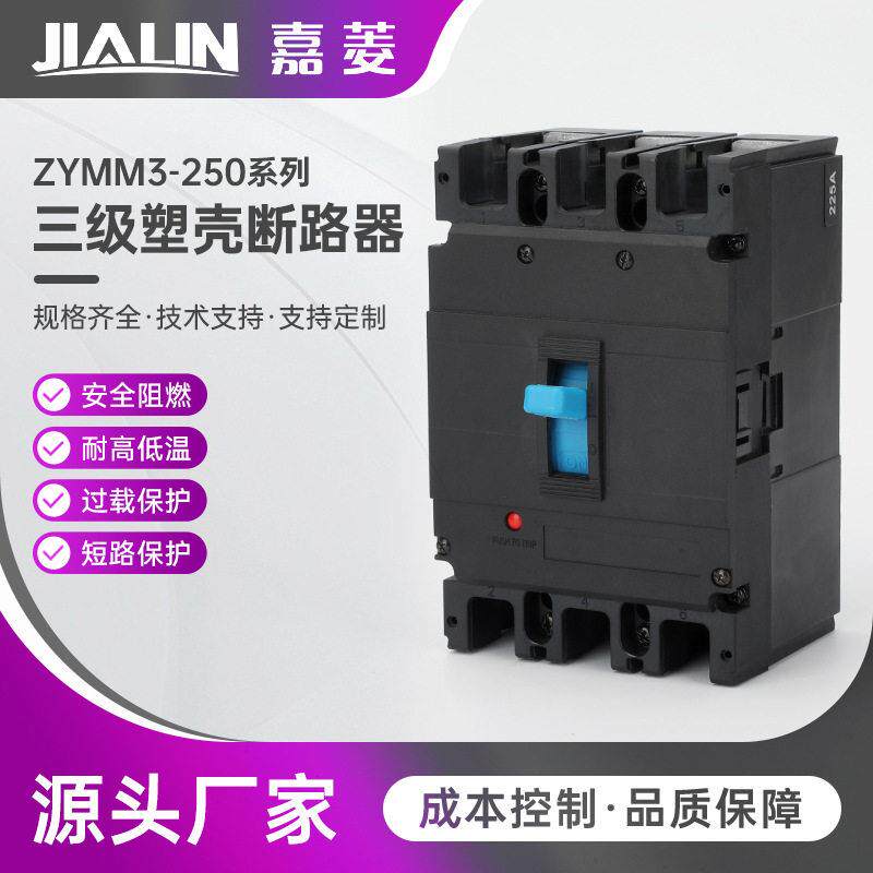ZYMM3-250系列三级塑壳断路器63A100A250A400A3P三相
