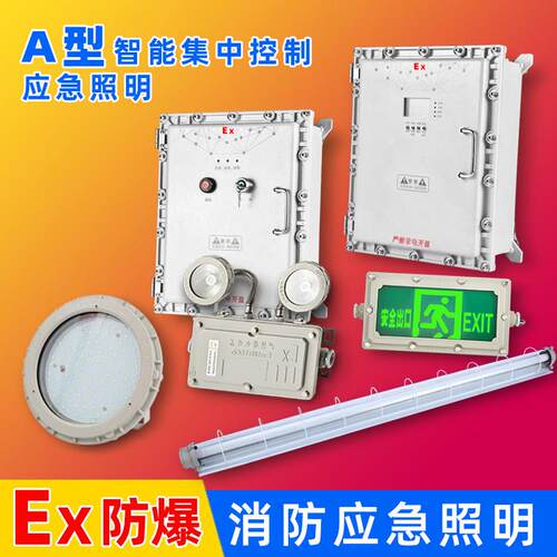 防爆集中控制智能疏散系统防爆指示灯标志灯消防双头防爆紧急照明