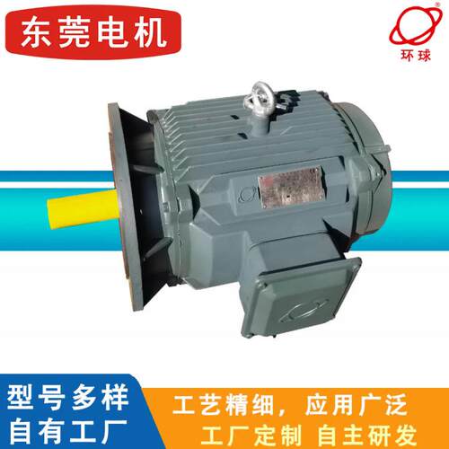 高效率三相异步伺服电机环球牌永磁电机厂家