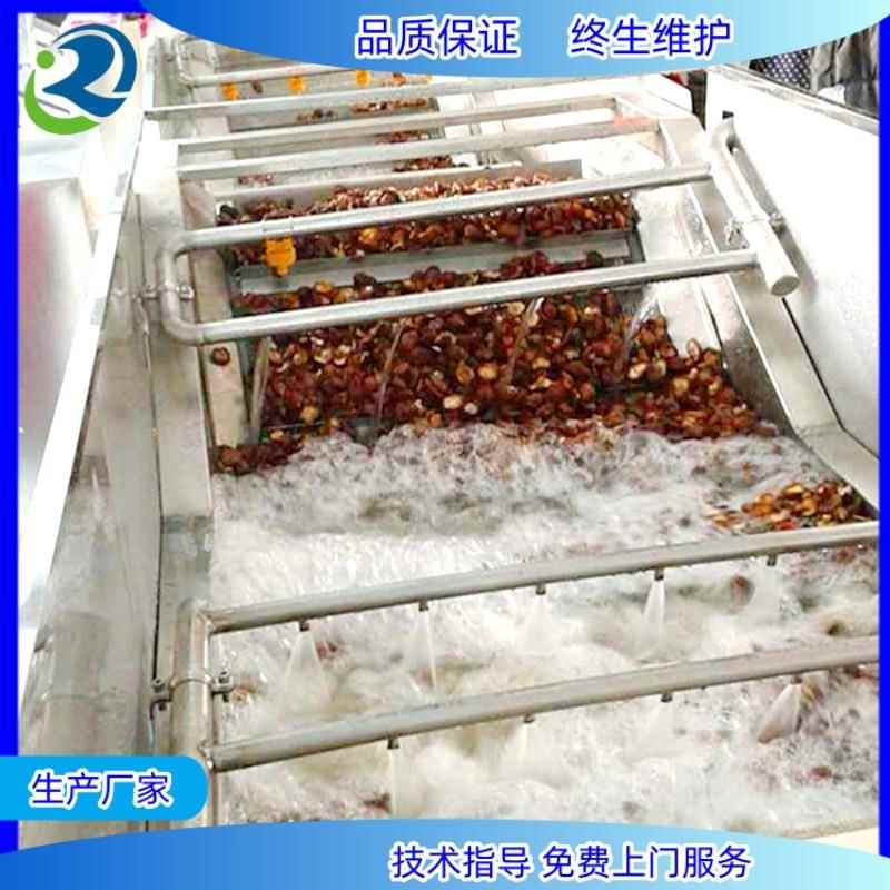 羊肚菌气泡清洗机 菌类加工清洗设备 蘑菇加工清洗机流水线