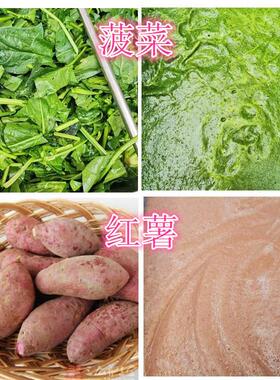 红薯淮山打泥浆机 做面条粉条水果蔬菜打浆机 菠菜细腻出浆机