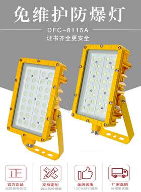 led防爆投光灯泛光灯40W50W60W80W100W免维护防爆灯BFC8115A