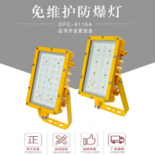 led防爆投光灯泛光灯40W50W60W80W100W免维护防爆灯BFC8115A