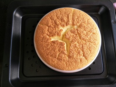 格兰仕D21蒸汽烤箱怎么样?体验一个月不吹不黑说优缺点