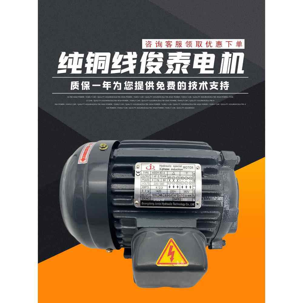 骏泰液压马达0.75Kw 1.5 2.25 3.75 5.5 7.5 Group Sy油泵马达