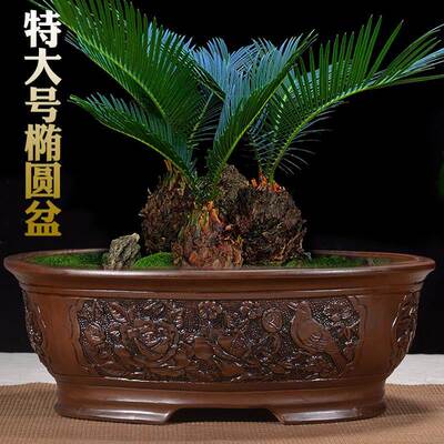 宜兴彷古浮雕陶瓷花盆长方形椭圆形盆景花盆榕树迎客松特大号花盆