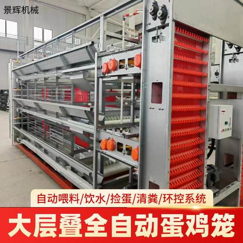 大层叠全自动蛋鸡笼设备立式H型多层清粪鸽子笼鹌鹑养殖笼厂家