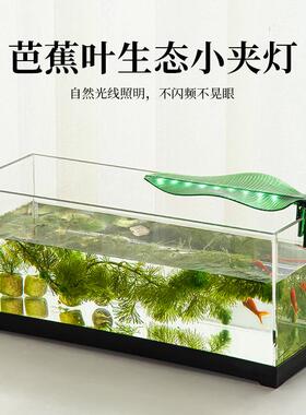 鱼缸灯LED灯草缸灯防水小型节能照明灯usb迷你小夹灯水族箱水草灯
