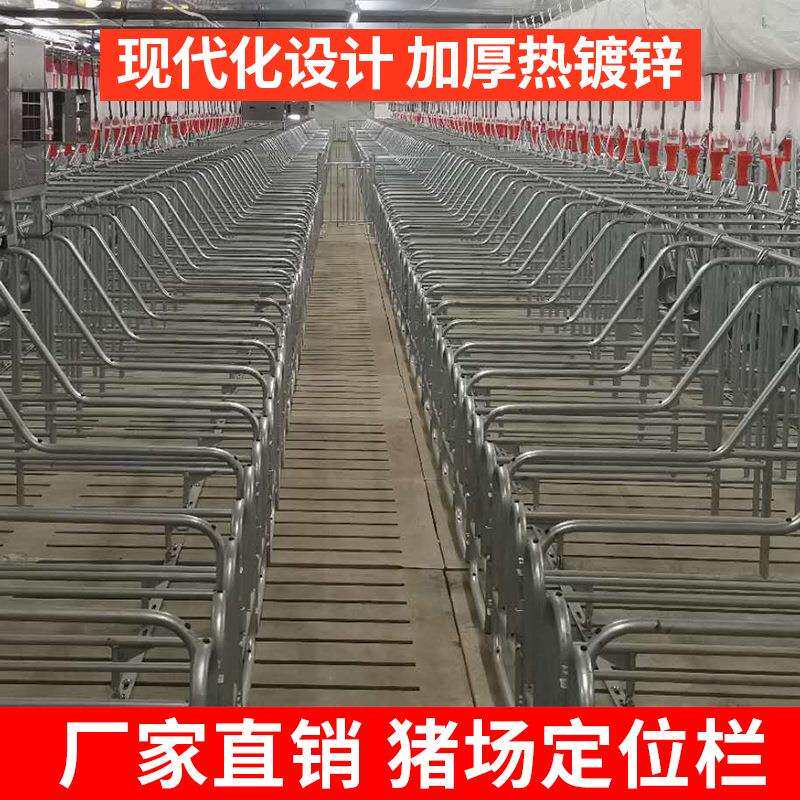母猪产床定位栏落地式保育养猪产保一体分娩床简易单体双体两用养