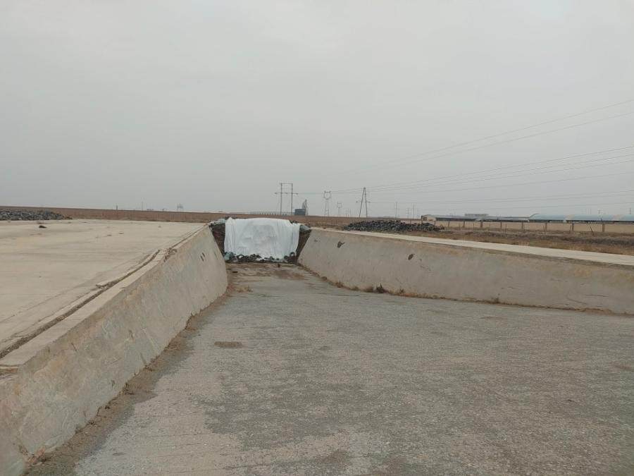 1月5日张掖牧业公司青贮玉米（1号窖）网络拍卖公告