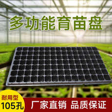 Рассада/питание