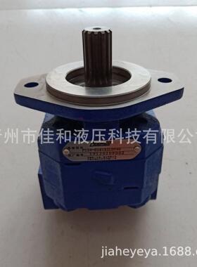 P124B085ERZA12钻机齿轮泵多种规格运行稳定