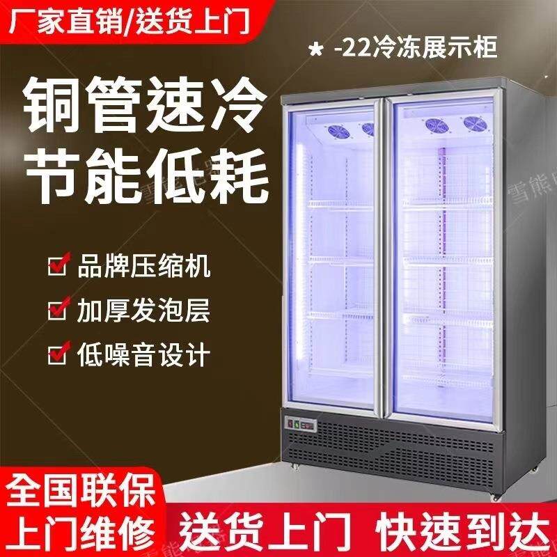 冷冻展示柜商用速冻柜急冻肉类榴莲三门立式冰箱双门展示低温冰柜