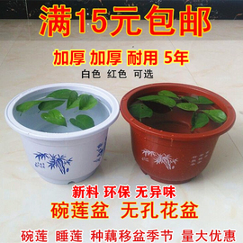 睡莲盆碗莲盆塑料无孔花盆不漏水大圆形水培荷花藕植物水生花卉