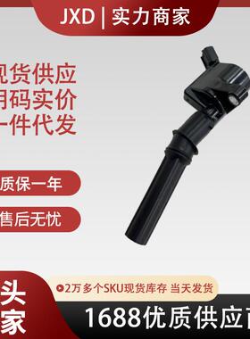 .跨境厂价点火线圈DG508/DG467/DG473/DG481/DG491/FD493/FD503