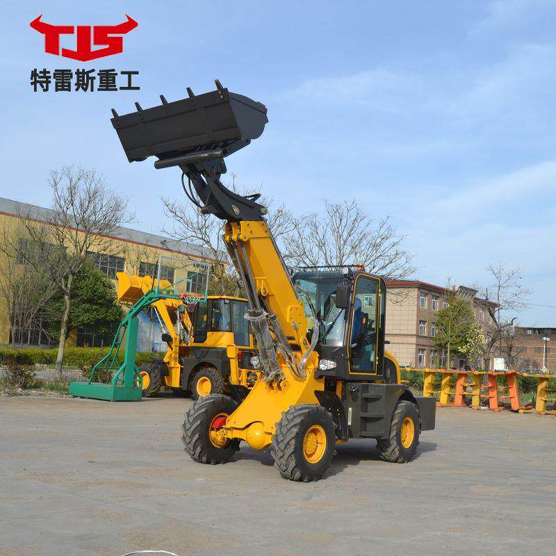 直销 伸缩臂装载机 重工液压控制定 制型工程机械 全新铲车