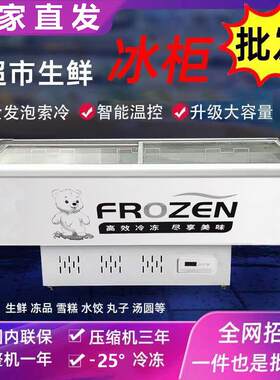 商用冷柜超市饺子汤圆雪糕冷冻柜卧式冰柜玻璃展示柜两门平面岛柜