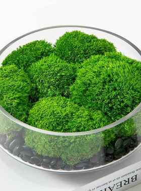 现代透明玻璃花瓶花器永生绿植盆景餐桌洽谈桌卧室装饰摆